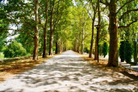 Passeggiata delle Mura